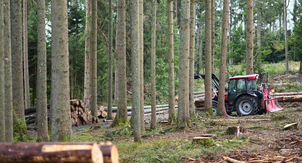 Ein Traktor steht im Wald neben gefällten Bäumen. (Bild: © picture alliance/Patrick Seeger/dpa)