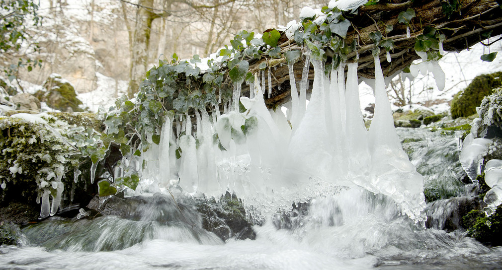 Eiszapfen hängen an einem Baum über einem Fluss. (Foto: © dpa)