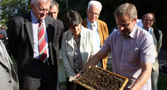 v.l.n.r.: Ministerpräsident Winfried Kretschmann, Staatssekretärin Dr. Gisela Splett und Dr. Peter Rosenkranz, Leiter der Landesanstalt für Bienenkunde der Universität Hohenheim mit einer Bienenwabe