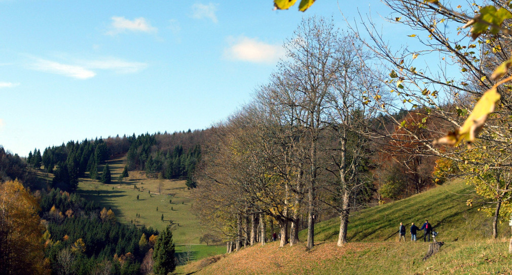Blick auf einen Wanderweg mit Spaziergängern am Lochenstein bei Balingen auf der Schwäbischen Alb (Bild: dpa - Bildfunk)