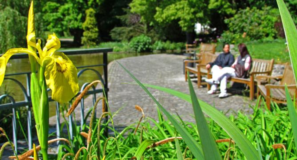 Menschen sitzen in einem Park. (Foto: © Ministerium für Soziales und Integration Baden-Württemberg)