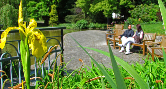 Menschen sitzen in einem Park. (Foto: © Ministerium für Soziales und Integration Baden-Württemberg)