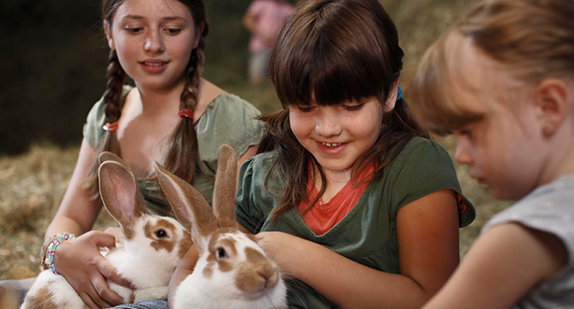 Drei Mädchen streicheln Kaninchen Foto: TMBW/Düpper