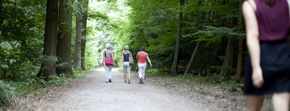 Spaziergängerrinnen laufen durch den Wald