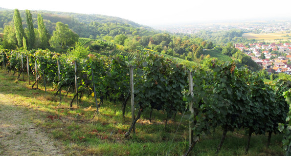 Laudenbach (Obere Hassel)