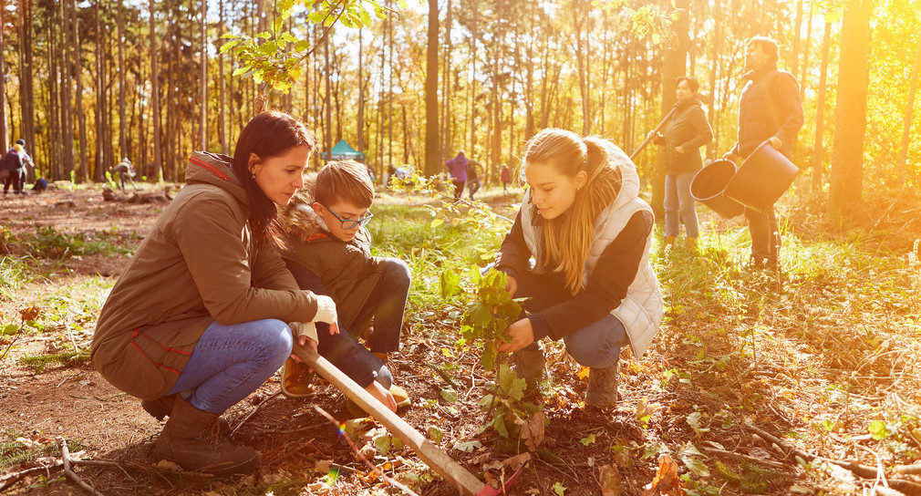 Kinder und Erwachsene helfen bei einer Baumpflanzaktion in einem Wald.