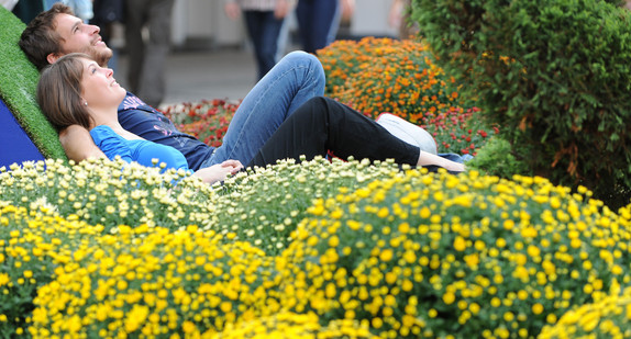 Ein Paar liegt inmitten von Chrysanthemen (Foto: dpa)