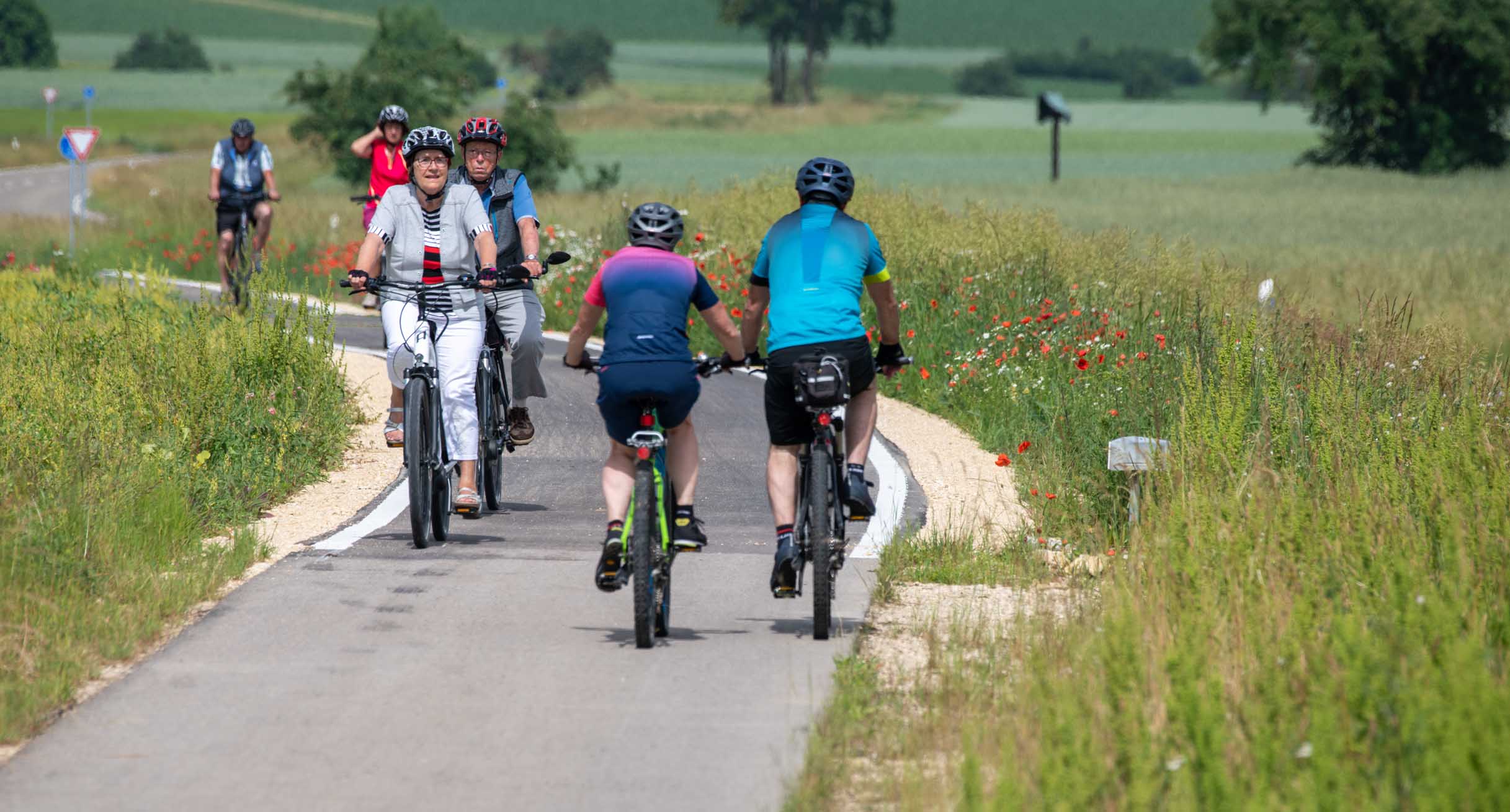 Radfahrer sind auf einem Radweg unterwegs.']