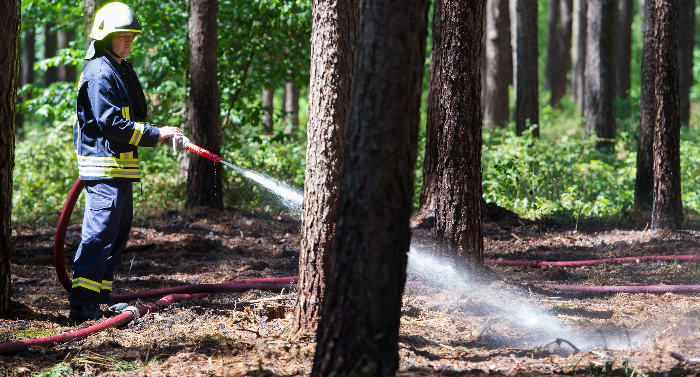 Ein Feuerwehrmann löscht letzte Glutnester auf dem Waldboden.