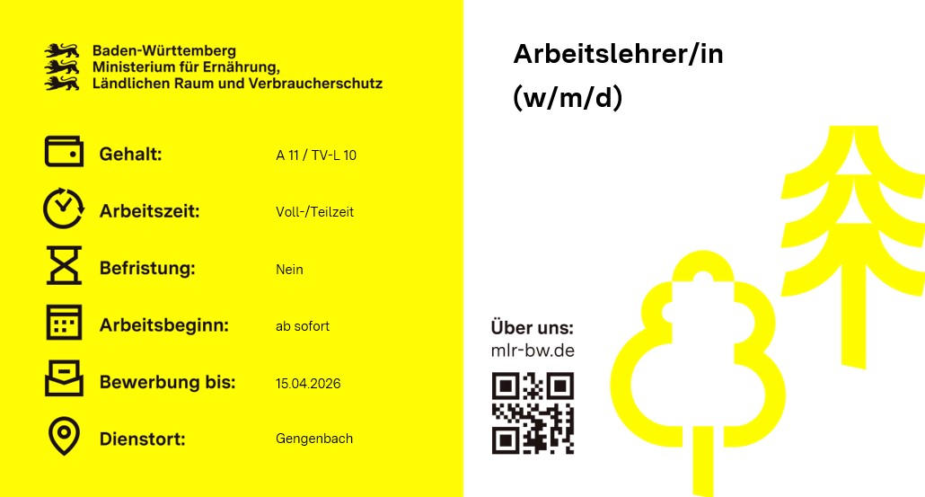  Arbeitslehrerin / Arbeitslehrer (w/m/d)
