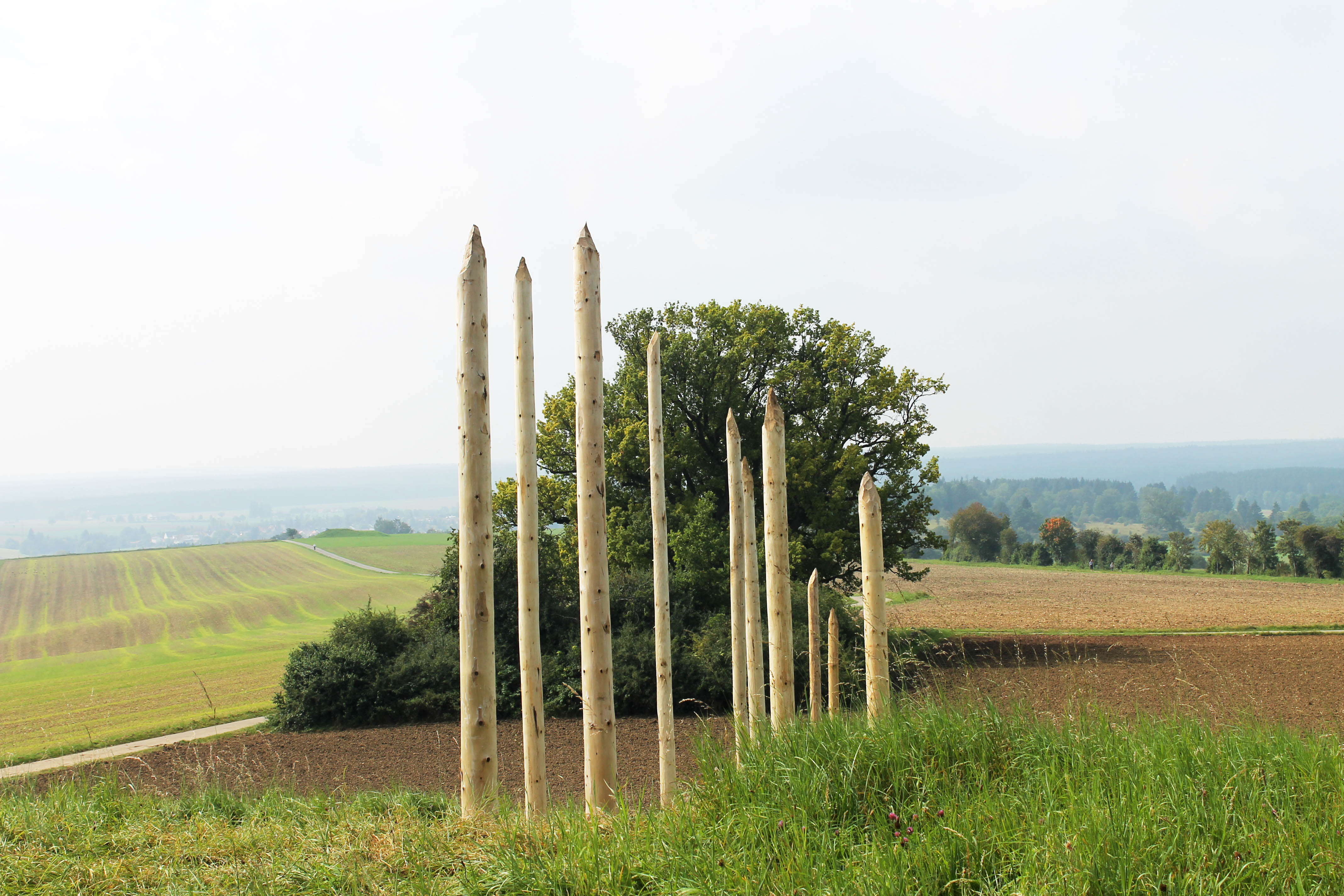 Der Keltenpfad Magdalenenberg
