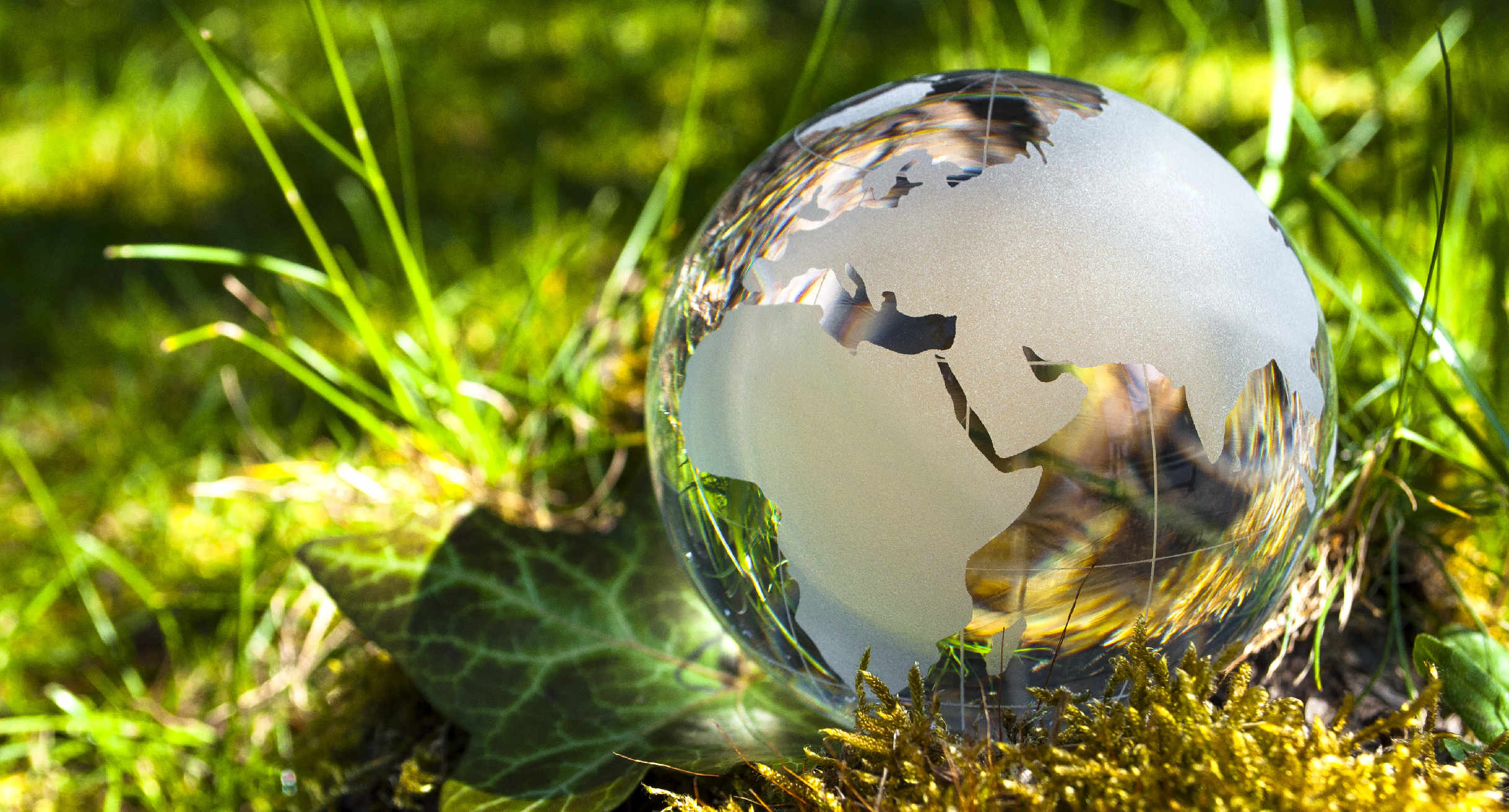 Weltkugel im Wasser