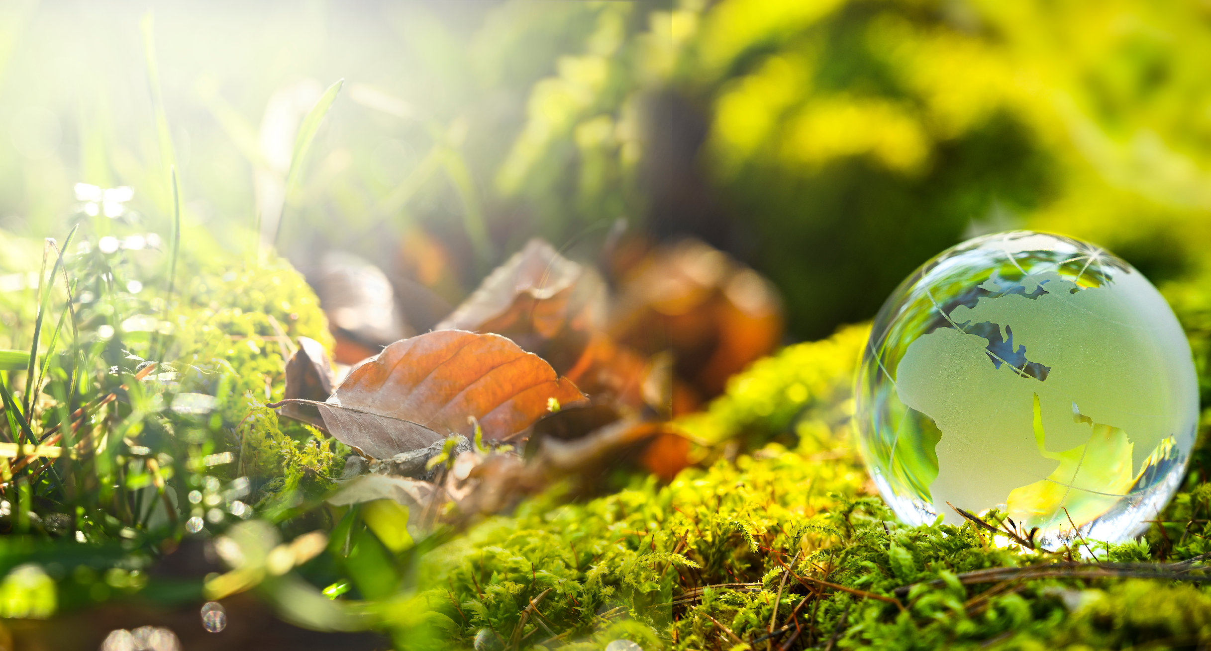 Ministerium für Umwelt, Klima und Energiewirtschaft Sachbearbeiterin/Sachbearbeiter (w/m/d)