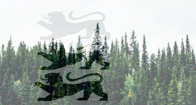 Logo der Green Bonds Baden-W&uuml;rttemberg: Wasserzeichen von drei L&ouml;wen vor Nadelwald