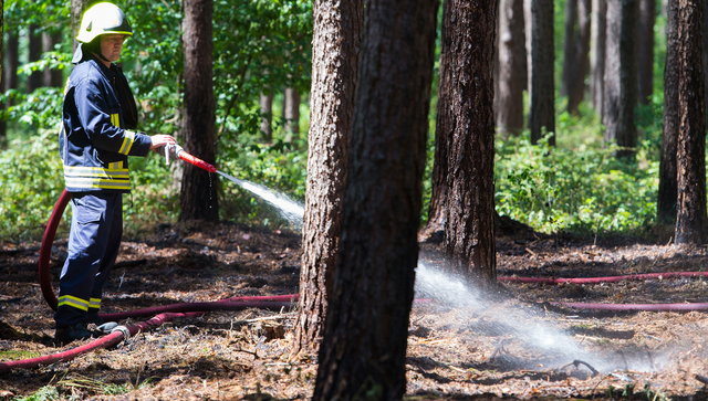 Ein Feuerwehrmann löscht letzte Glutnester auf dem Waldboden.