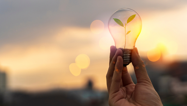 Die Hand einer jungen Frau hält eine Energiesparlampe, darin ist eine kleine Pflanze.