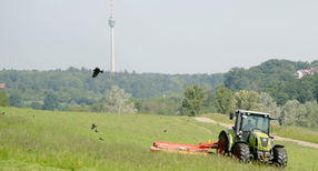 Ein Traktor mäht in Stuttgart eine Wiese, im Hintergrund sieht man den Fernsehturm. (Bild: dpa)