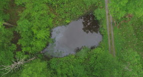 Wasserr&uuml;ckhalt im Wald